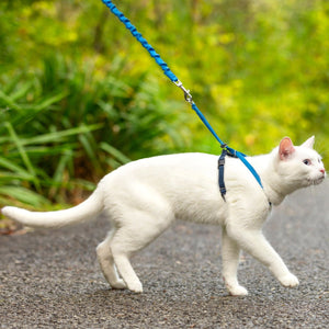 Harnais pour chats Easy Walk™