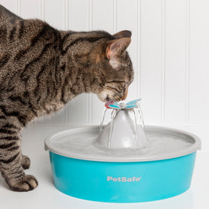 Fontaine à eau papillon Drinkwell® de PetSafe™ pour animaux de compagnie