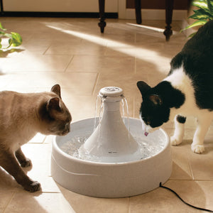 Drinkwell® 360 fontaine pour animaux de compagnie