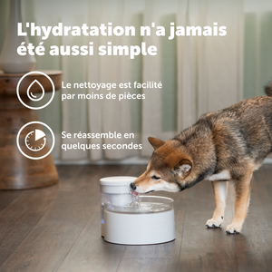 Fontaine sans pompe de 1,7 litre pour animaux de compagnie Outlast™