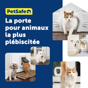 Chatière pour grands chats