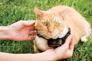 Clôture anti-fugue de luxe avec fil pour chats In-Ground Cat Fence™
