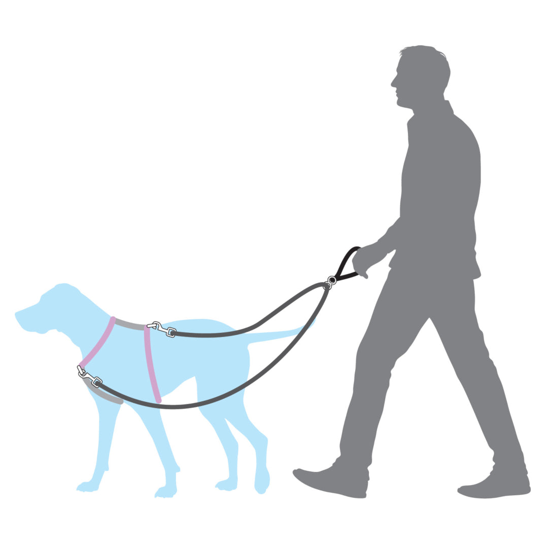 Anti-traction pour chien (AP-LD-3/4-19) - PetSafe® International – PetSafe®  Belgium
